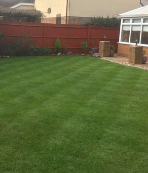 After Scarification
