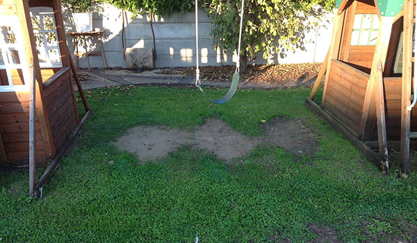 Lawn Treatment