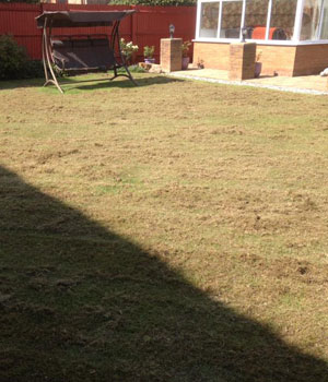 During Scarification
