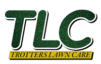 Canvas Logo