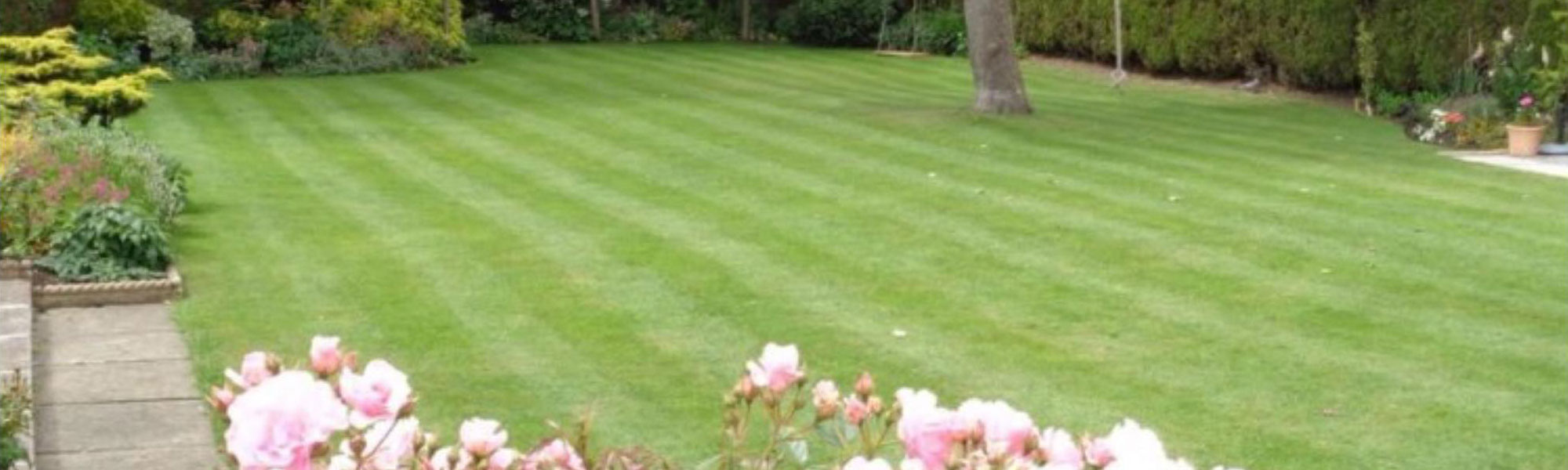Seasonal Lawn Treatments