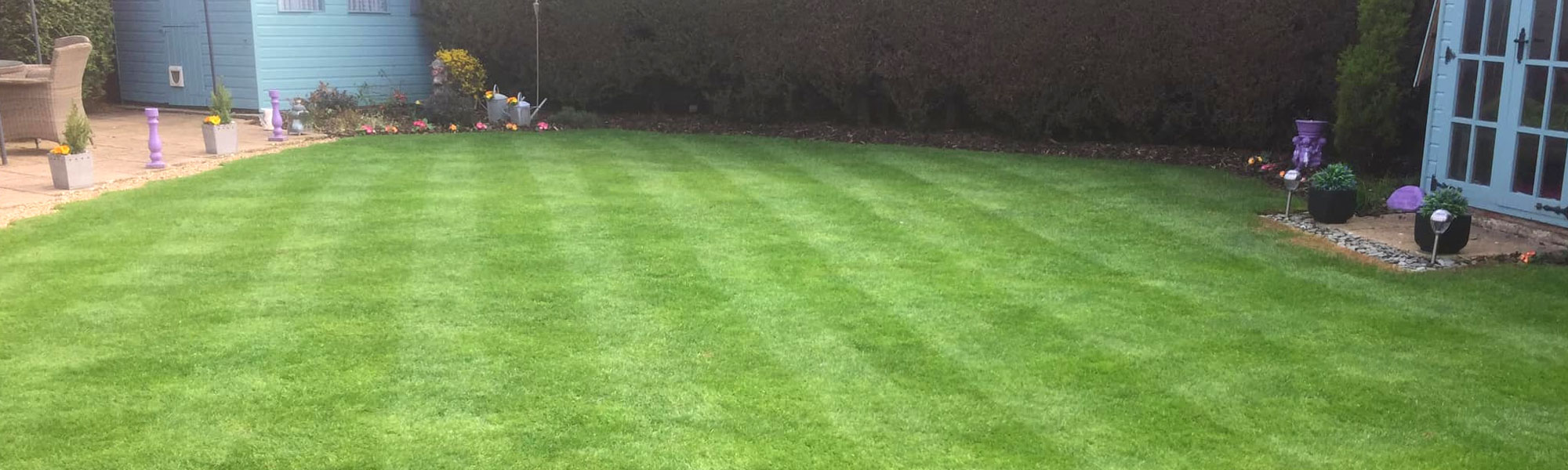 Local Lawn Care Services