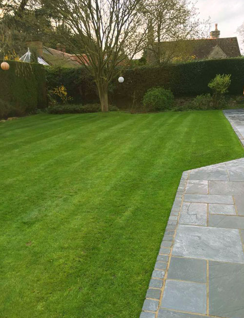 Local Lawn Care Services