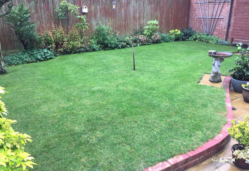 Local Lawn Care Services