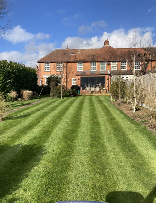 Local Lawn Care Services