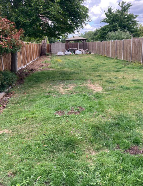 Before Lawn Renovation