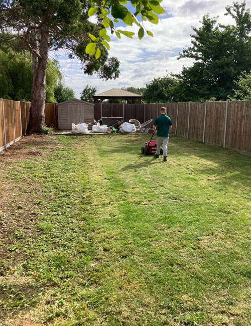 During Lawn Renovation