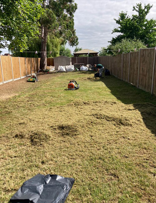 During Lawn Renovation