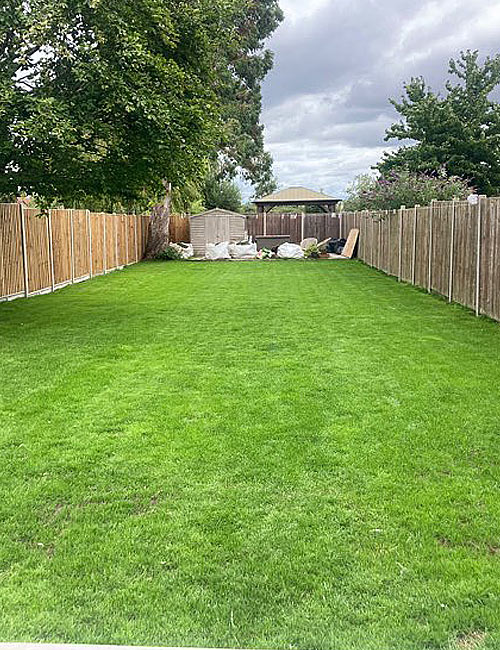 After Lawn Renovation