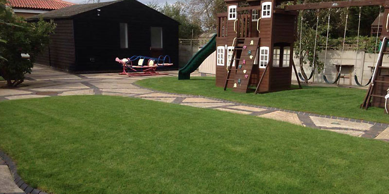 After Lawn Renovation