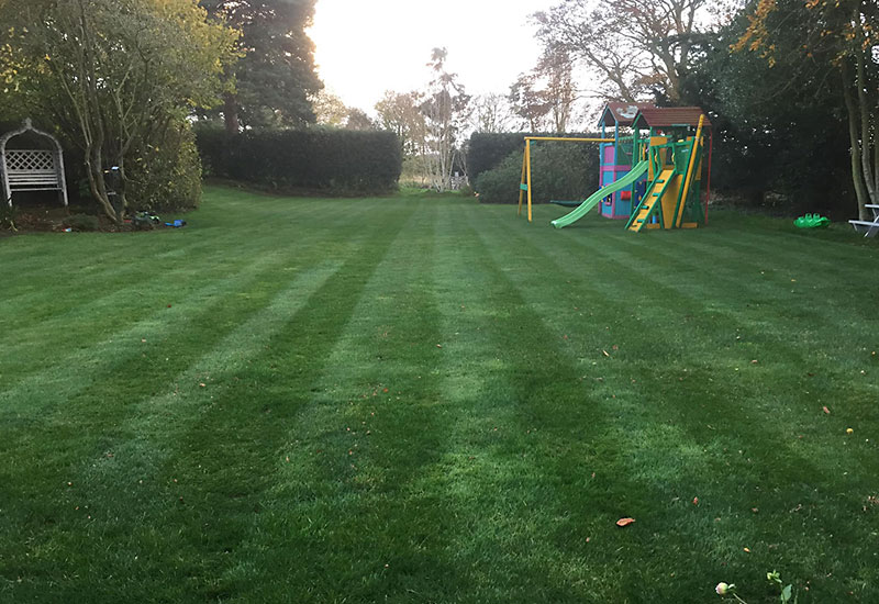 After Lawn Scarification
