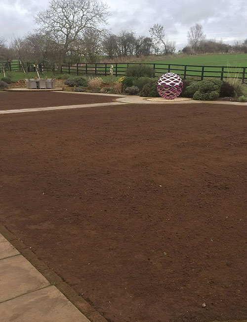 After Lawn Renovation