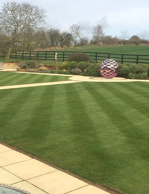 After Lawn Renovation