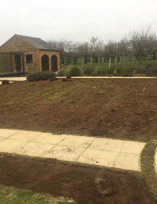 During Lawn Renovation