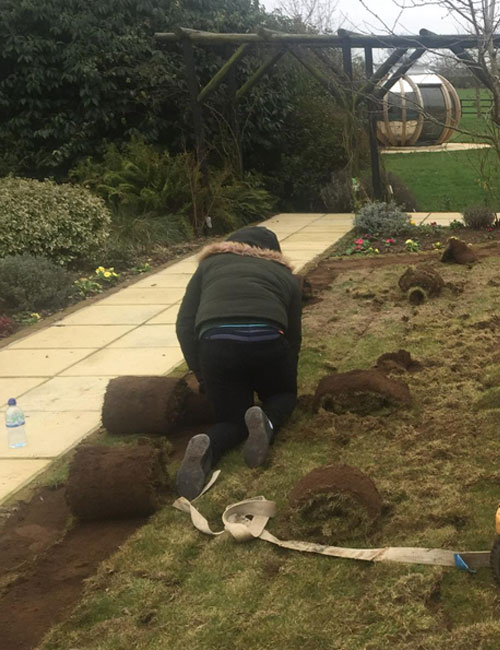 Before Lawn Renovation