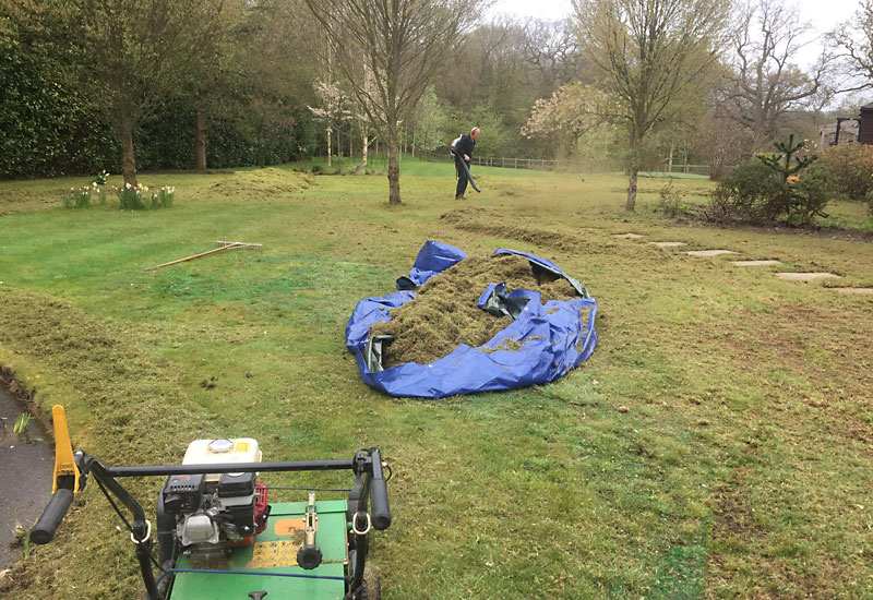 During Scarification