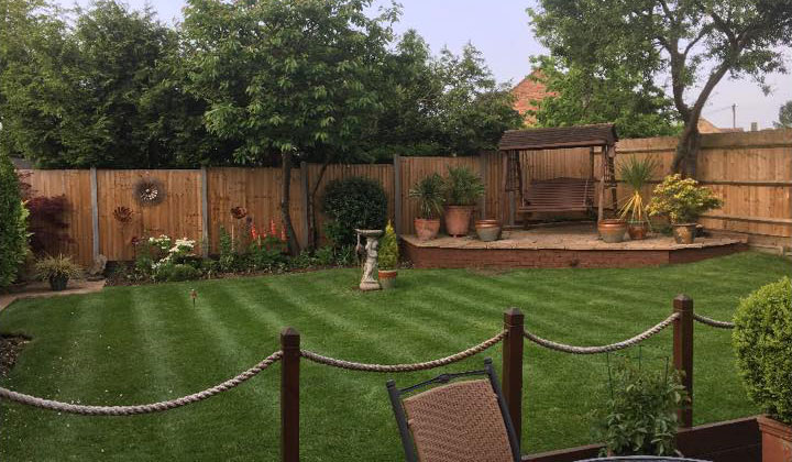 Local Lawn Care Services